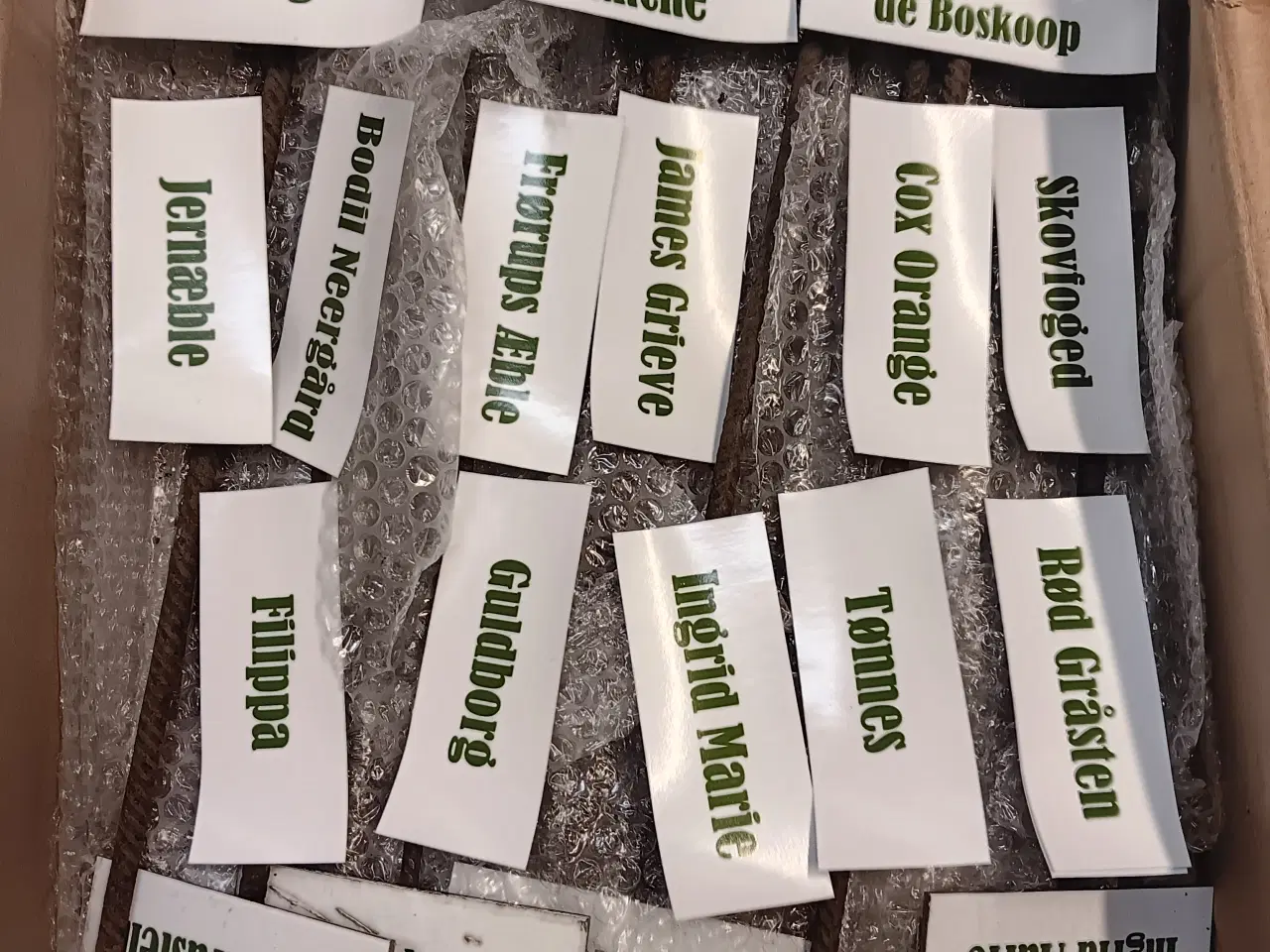 Billede 1 - Navneskilte til Æbletræer