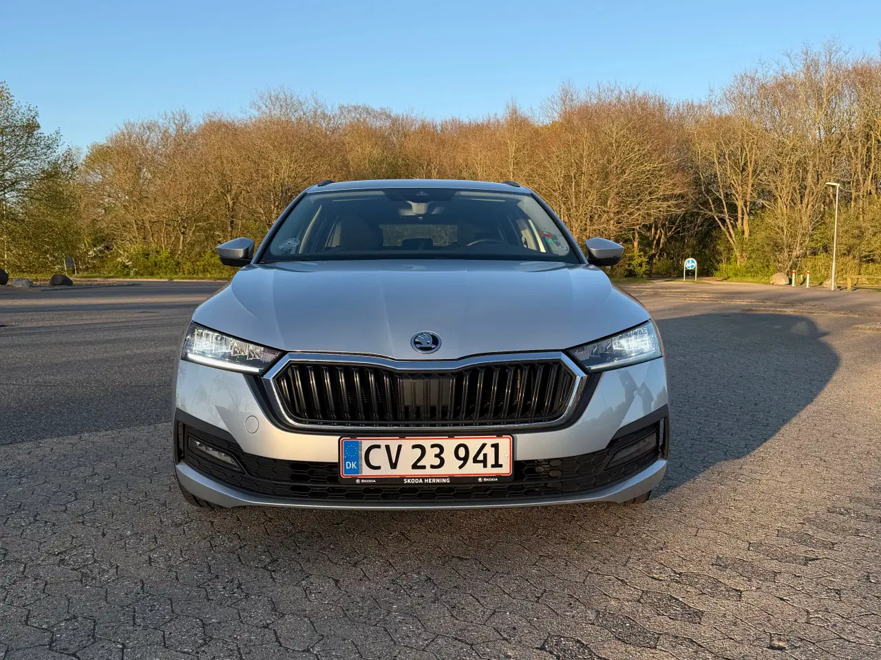 Billede 6 - Skoda Octavia IV 2,0 TDI 150 DSG – 29 km/l – Sving