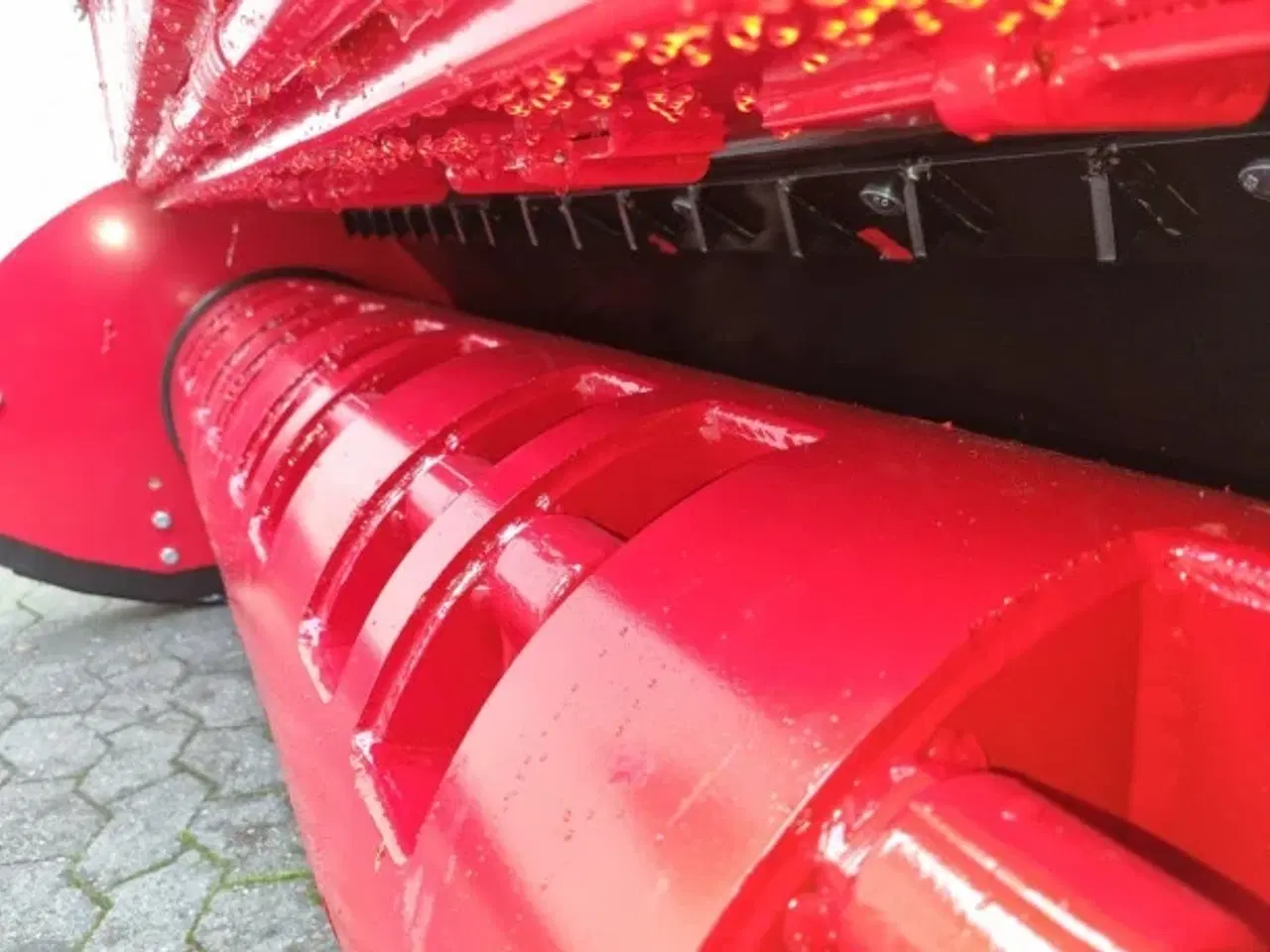 Billede 5 - Grenknuser