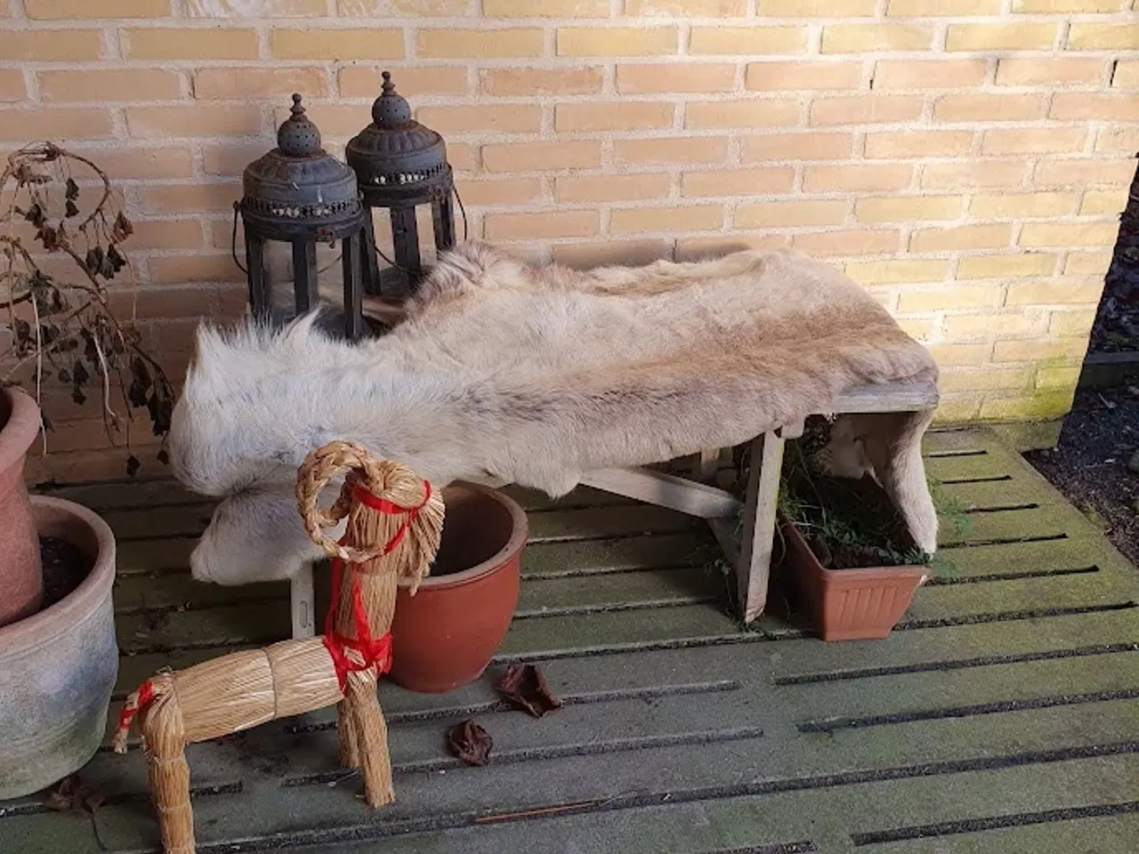 Billede 2 - Lækre rensdyrskind - varmt ligge-sidde underlag.