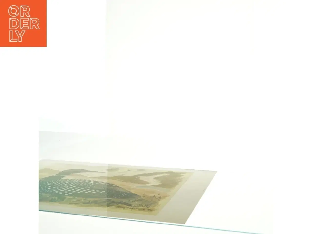 Billede 2 - Tryk af fugl (str. 51 x 34,5)