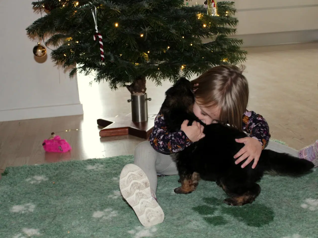 Billede 2 - Fynske julebamser! 