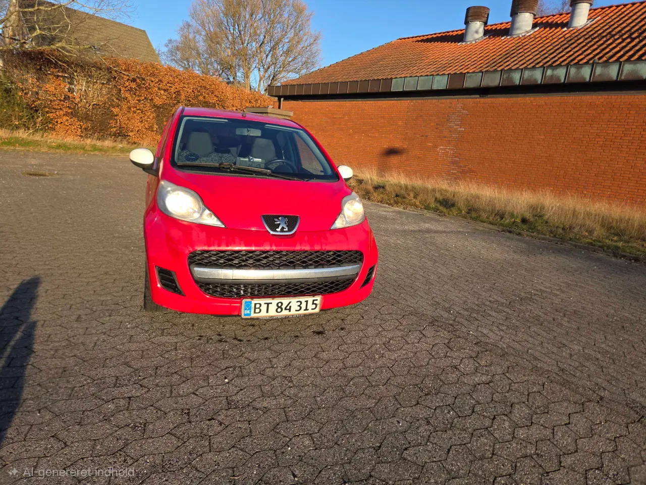 Billede 12 - ØKOGRIS MED PLADER OG NYSYNET 