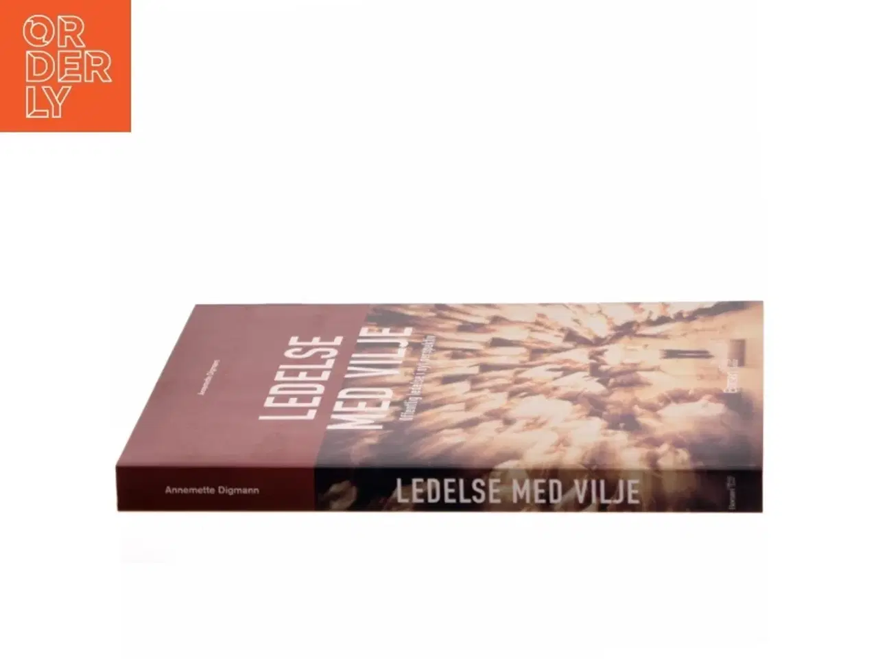 Billede 2 - Ledelse med vilje : offentlig ledelse i nyt perspektiv af Annemette Digmann (Bog)
