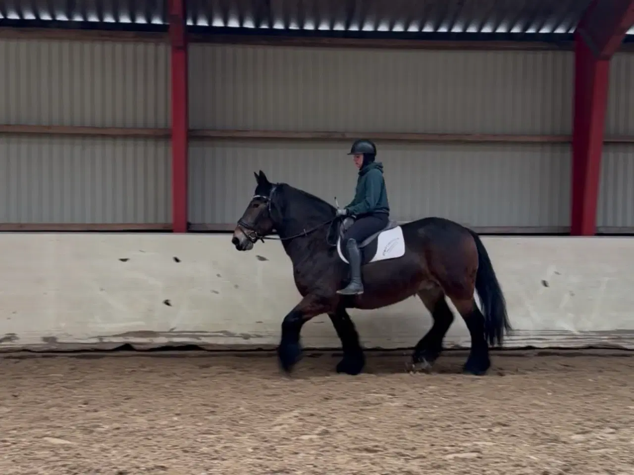 Billede 4 - Elev/ridefys emne