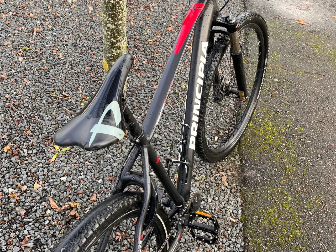 Billede 2 - Principia mountainbike 