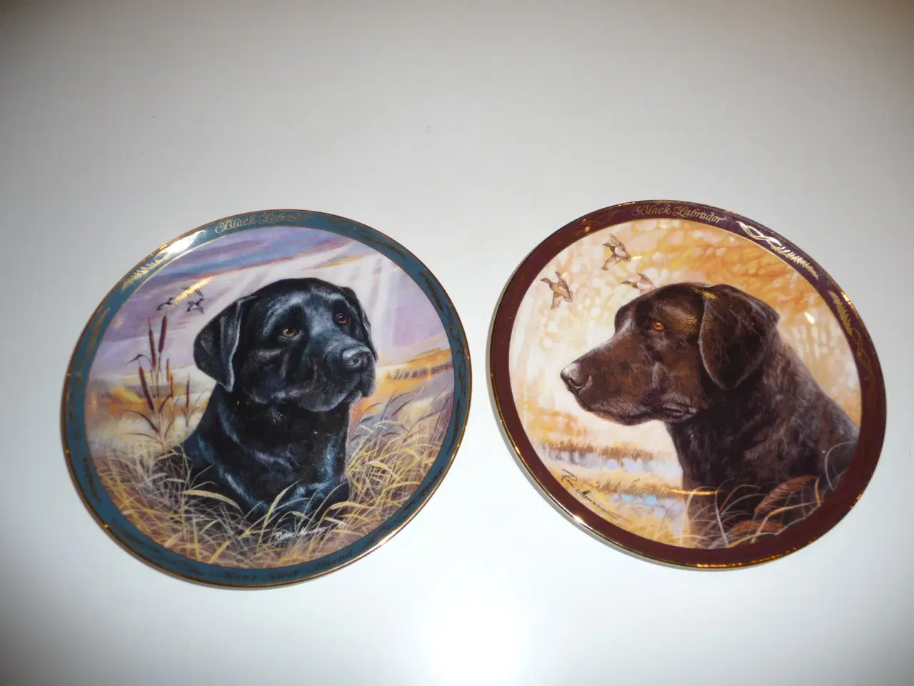 Billede 1 - Royal Doulton, Black Labrador