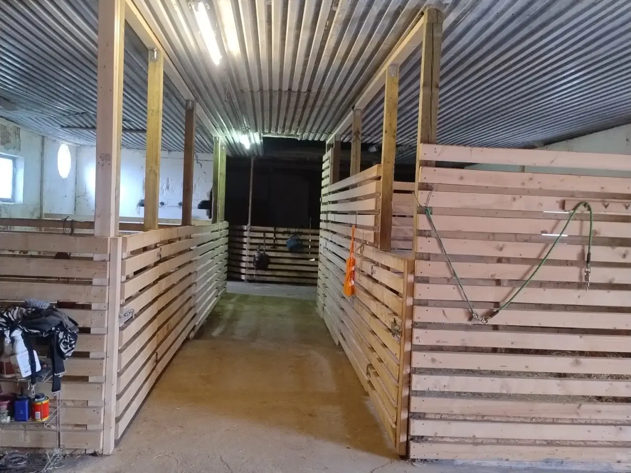 Billede 2 - Tilridning/Ridning/Salg Tilbydes