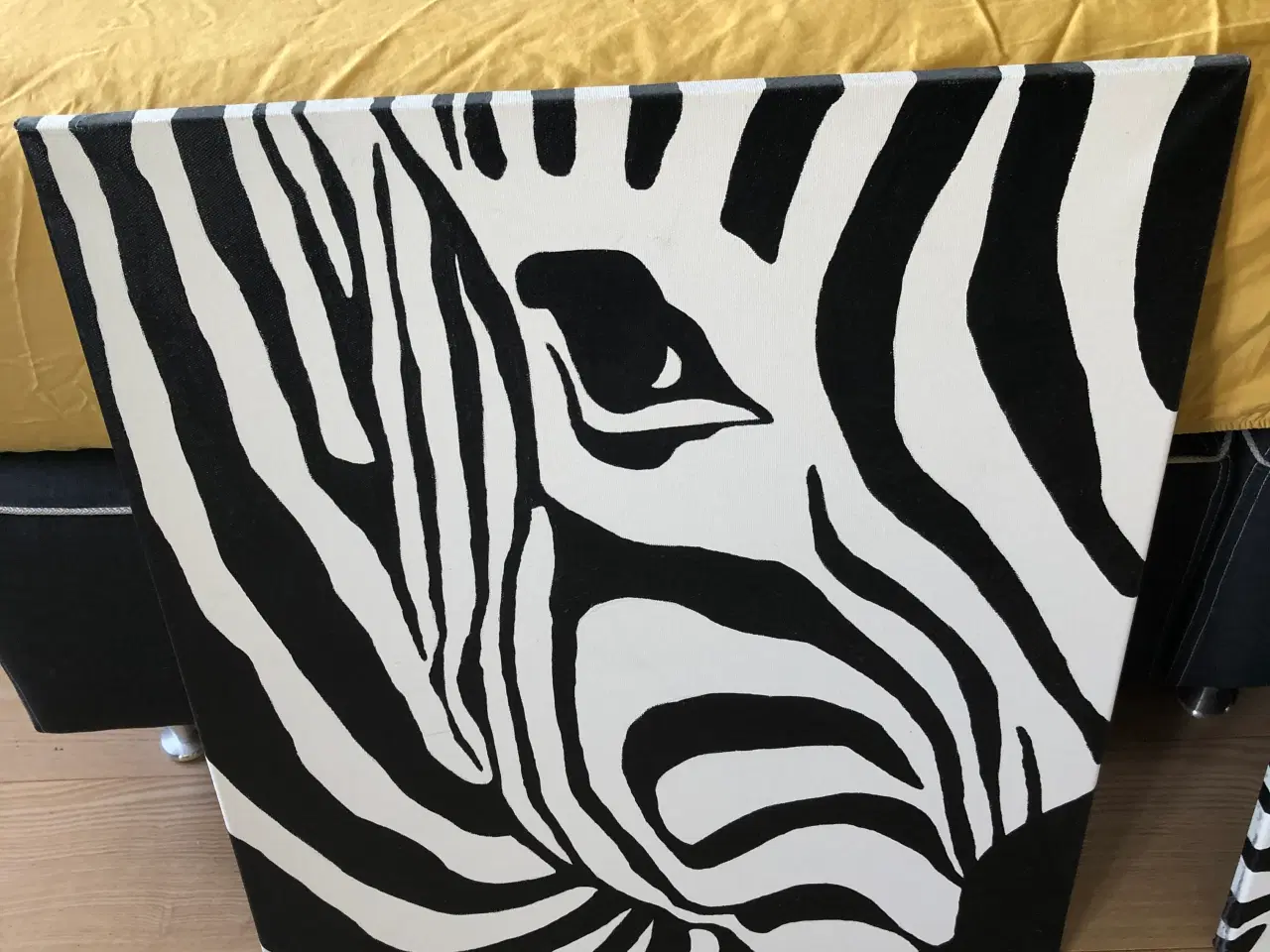Billede 2 - Zebra billeder 