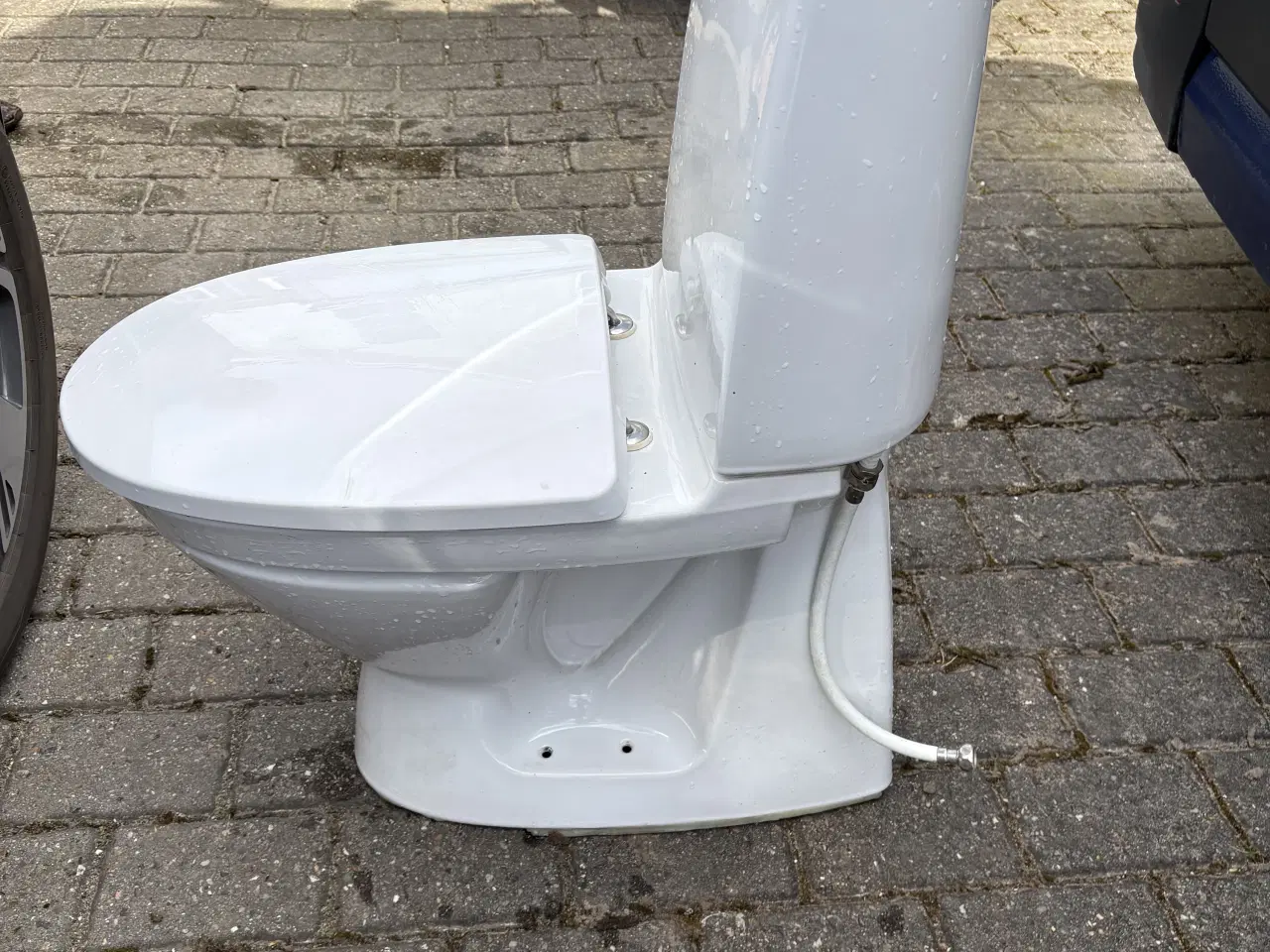 Billede 5 - Ifö toilet