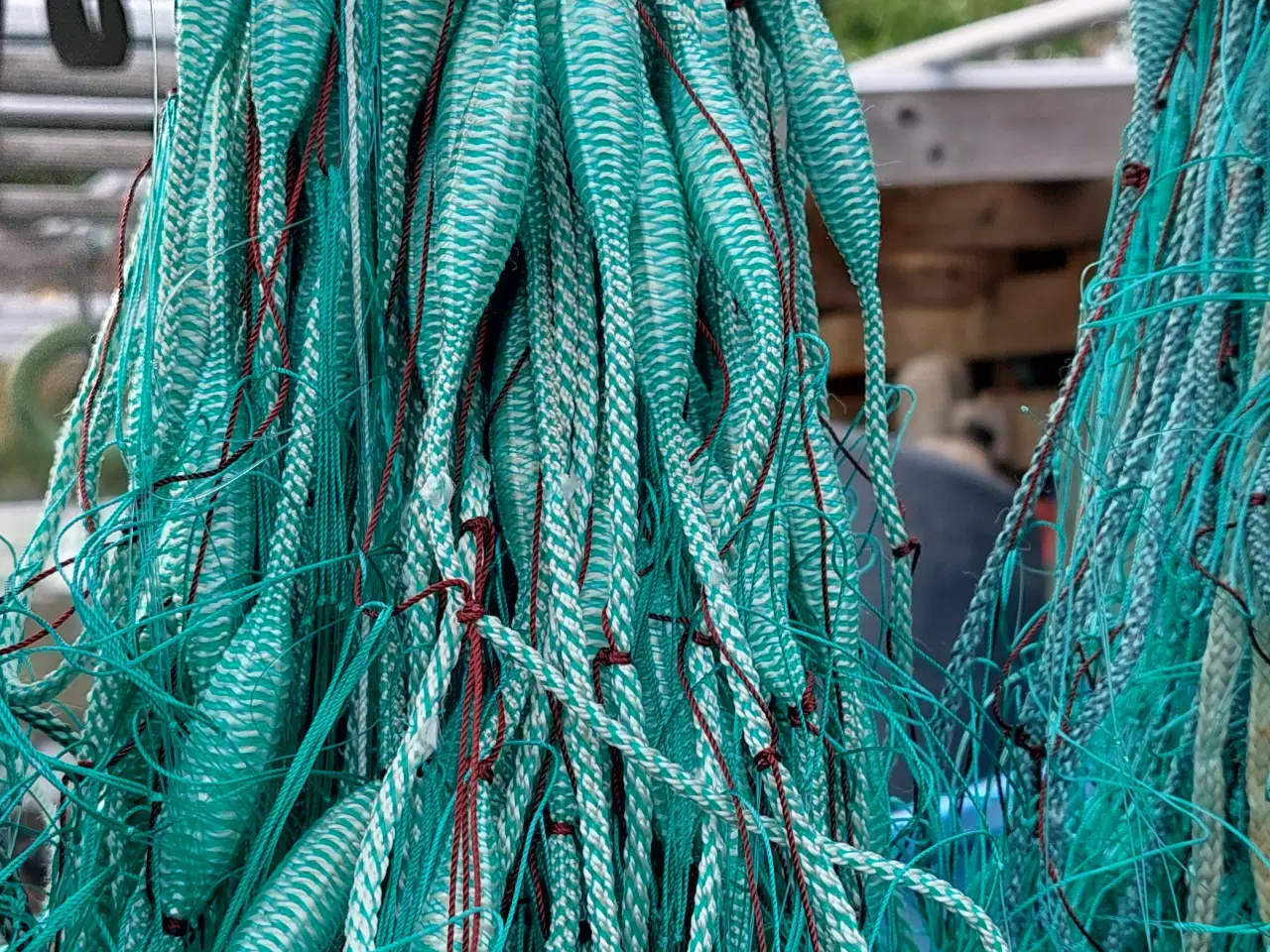 Billede 4 - Rødspætte / Skrubbegarn