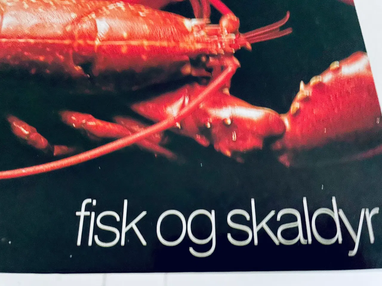 Billede 10 - Menu internationalt madleksikon - fisk og skaldyr 
