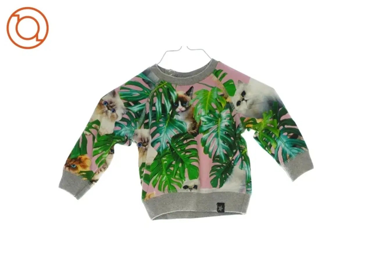 Billede 1 - Trøje fra Molo