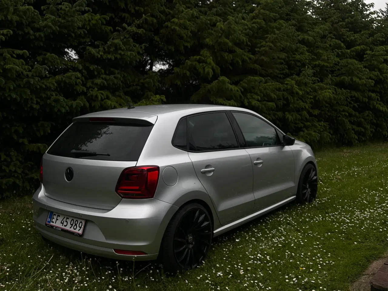 Billede 3 - Volkswagen Polo 6C 1.2 TSI – 2016-model, velholdt 