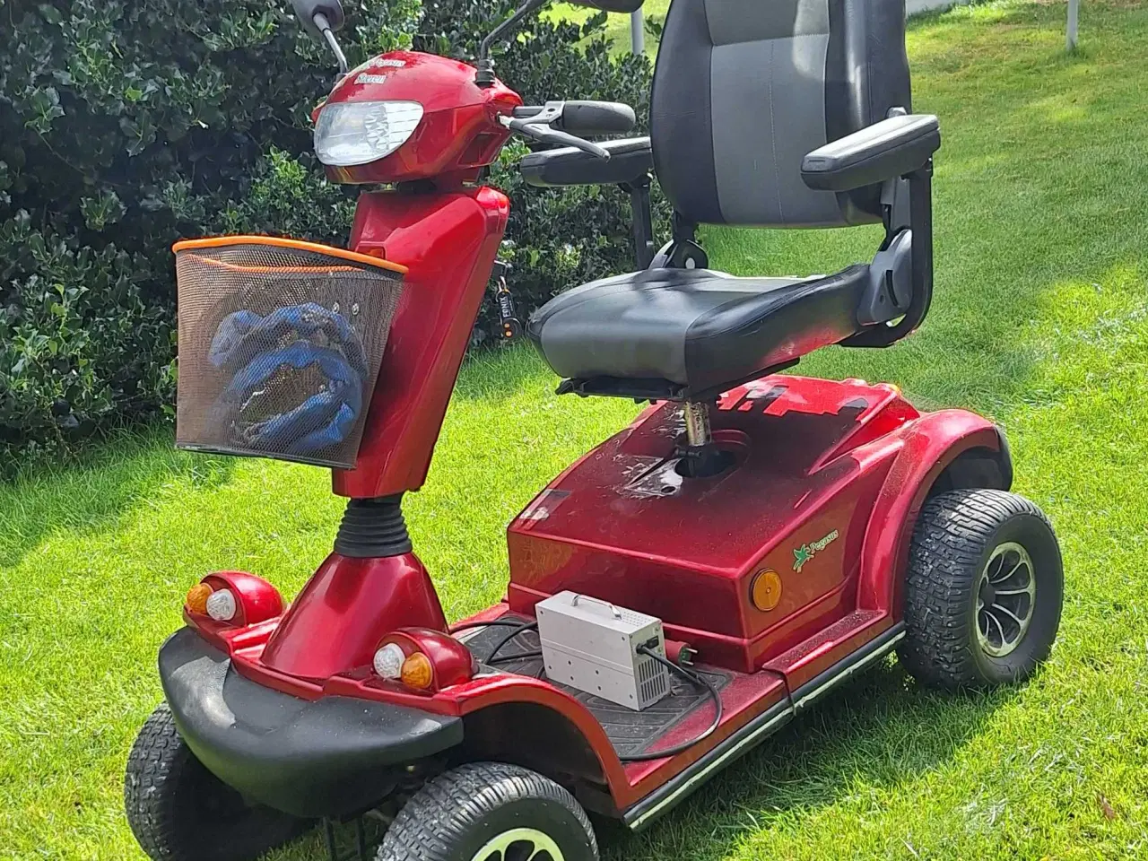 Billede 1 - El Scooter Pegasus Stæren