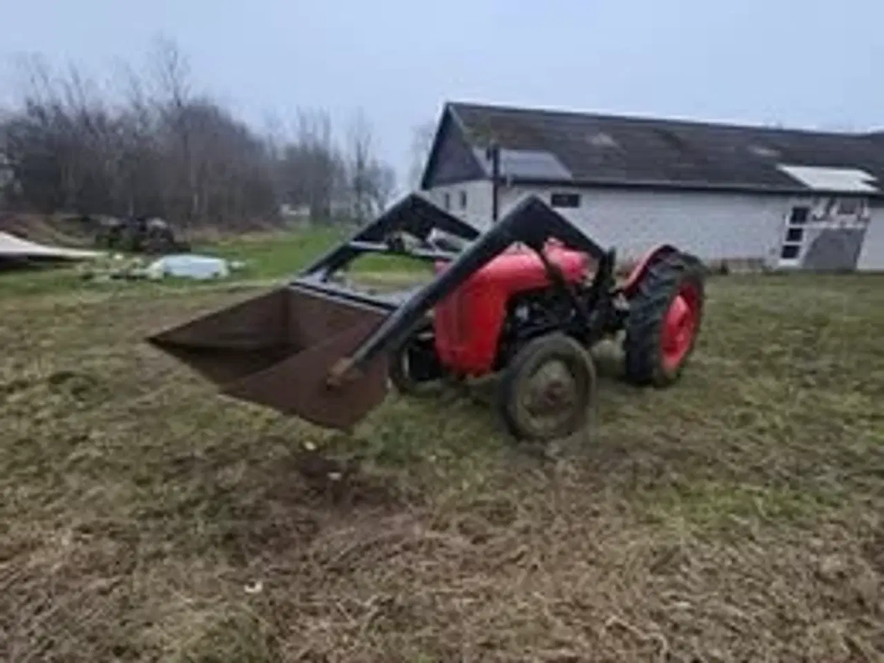 Billede 7 - Massey ferguson MF35