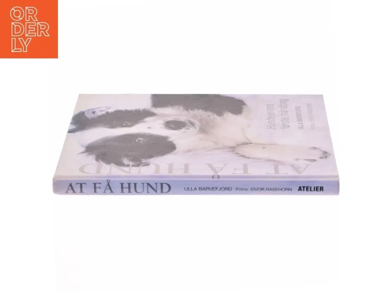 Billede 2 - At få hund : hundeejernes første håndbog af Ulla Barvefjord (Bog)