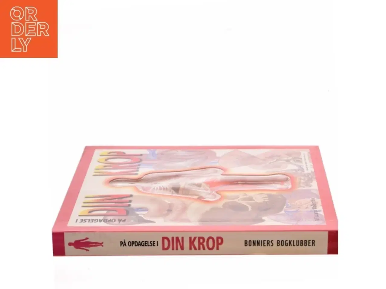Billede 2 - På opdagelse i din krop af Luann Colombo (Bog)