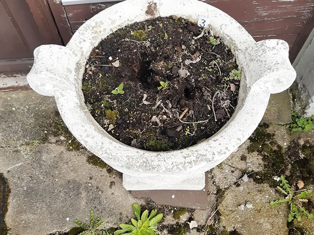 Billede 1 - Havekrukke