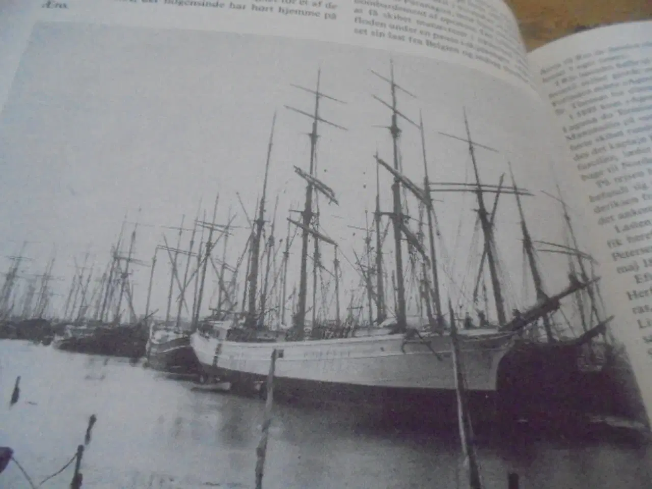 Billede 7 - Barbados for ordre – Groller i Vestfarten