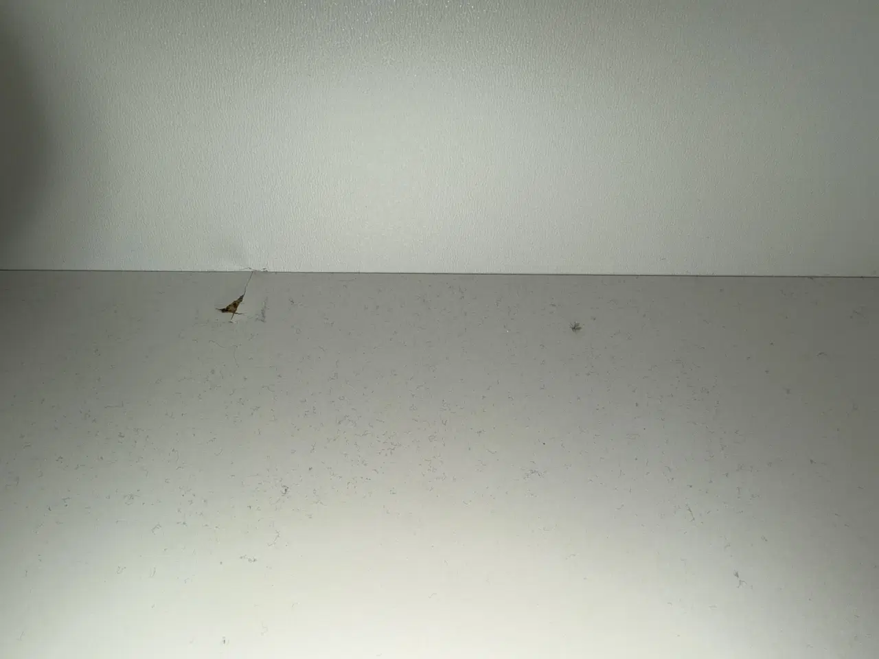 Billede 3 - Mosbjerg reol fra jysk