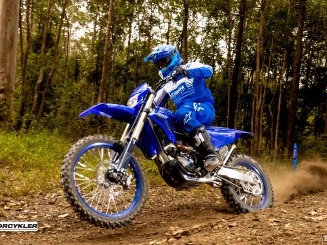 Billede 4 - Yamaha WR 450 F