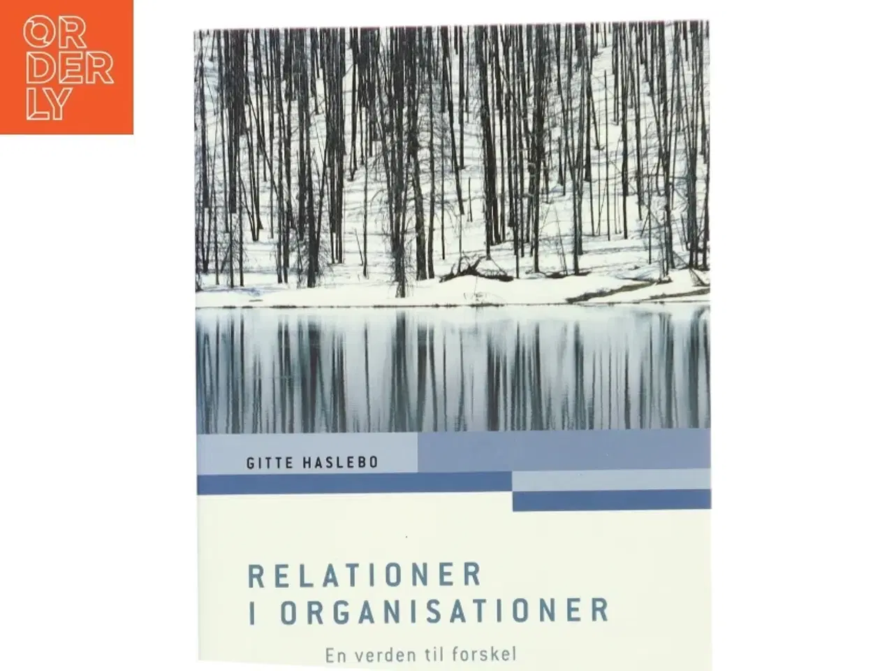 Billede 1 - Relationer i organisationer : en verden til forskel af Gitte Haslebo (Bog)