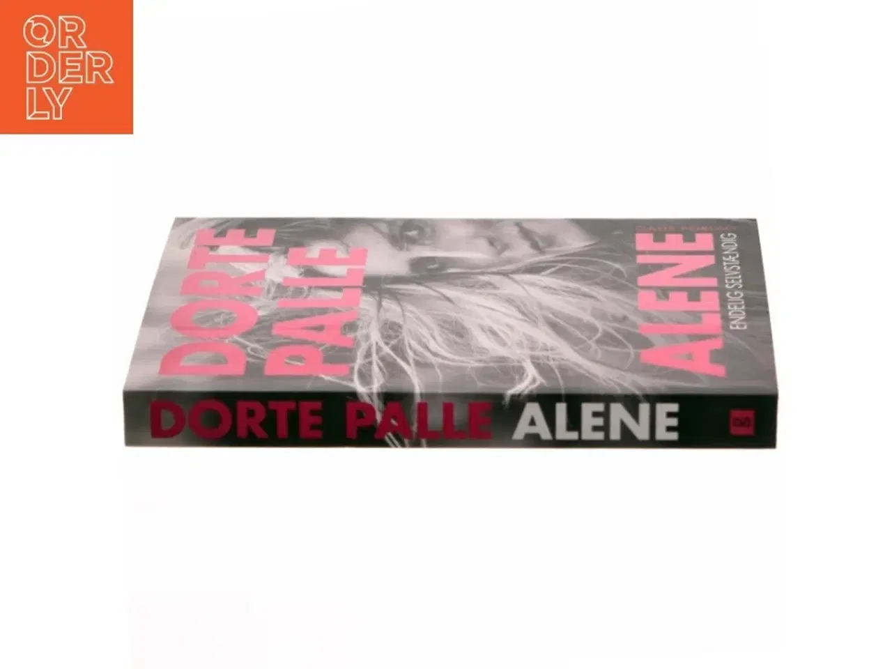 Billede 2 - Dorte Palle alene : endelig selvstændig af Dorte Palle Jørgensen (Bog)