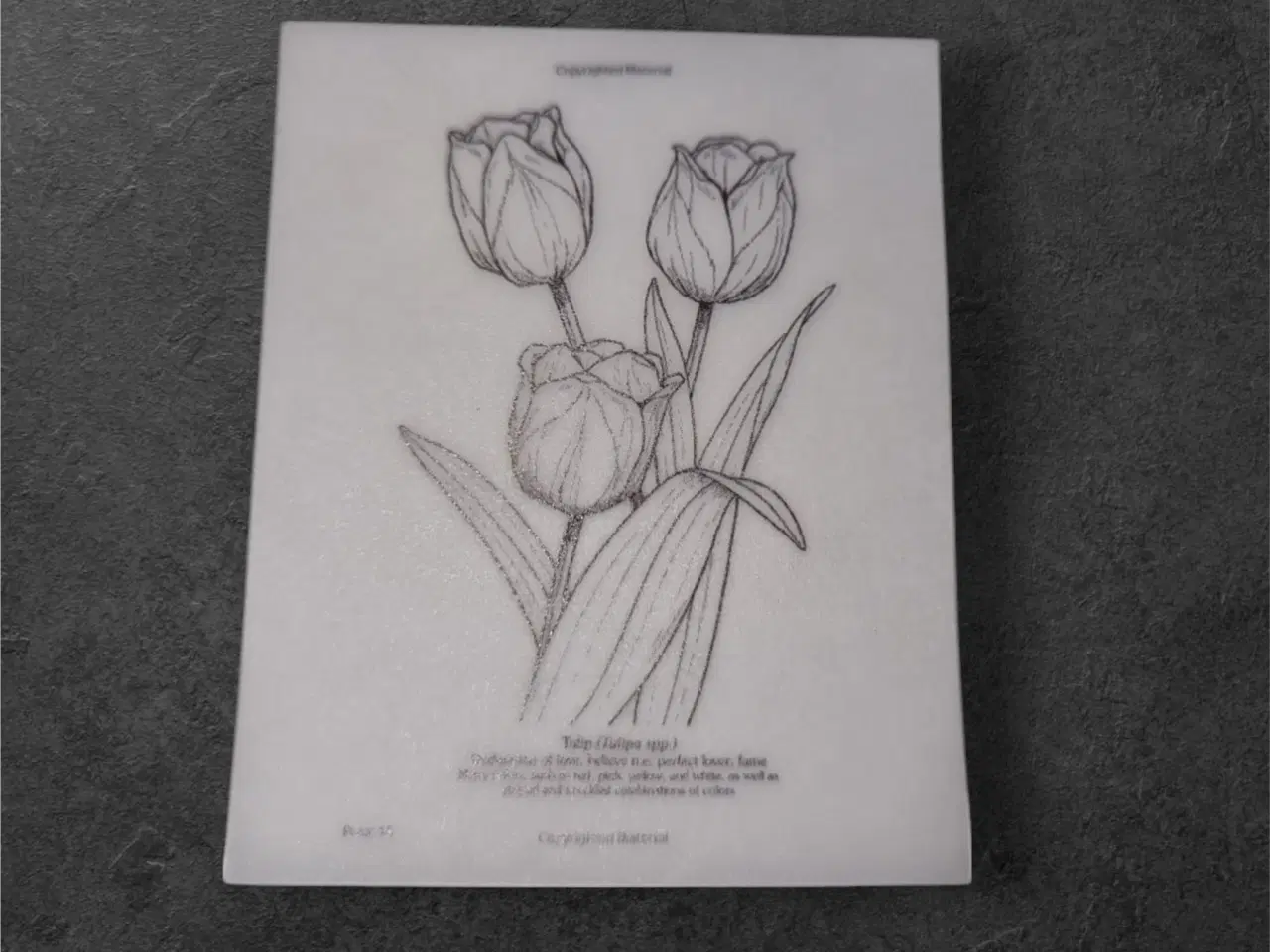 Billede 1 - Annonce 126 - Hobby