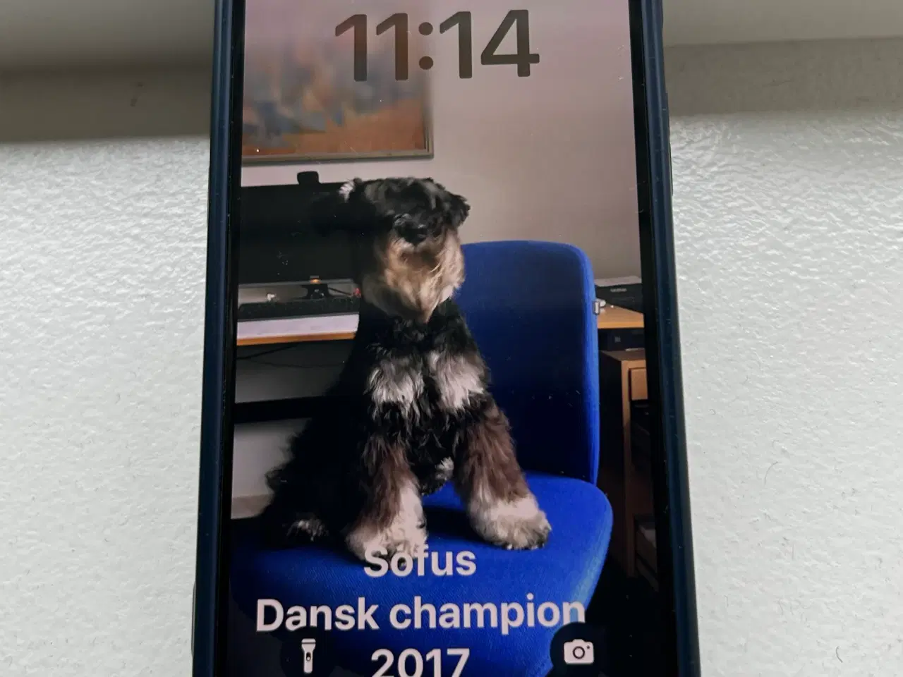 Billede 1 - Iphone 12 mini Blå