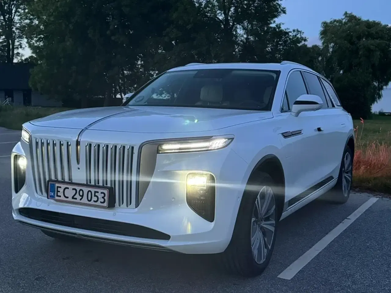 Billede 2 - Hongqi E-HS9 84 Comfort