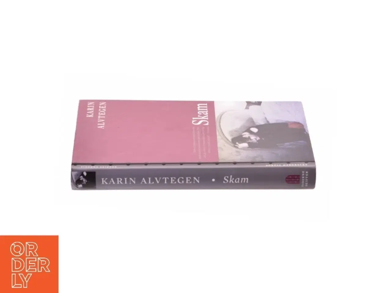 Billede 3 - Skam af Karin Alvtegen (bog)