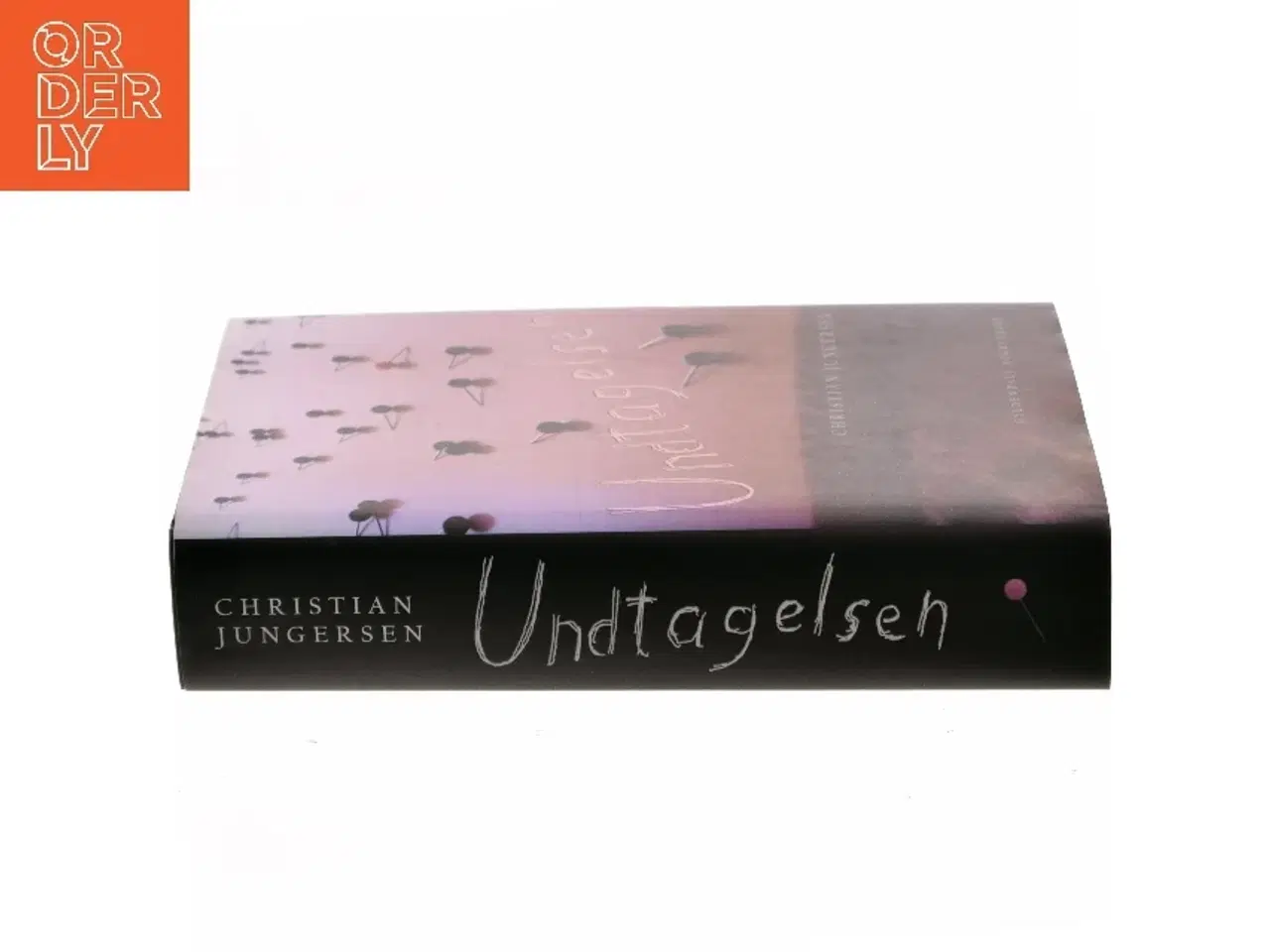 Billede 2 - Undtagelsen : roman af Christian Jungersen (Bog)