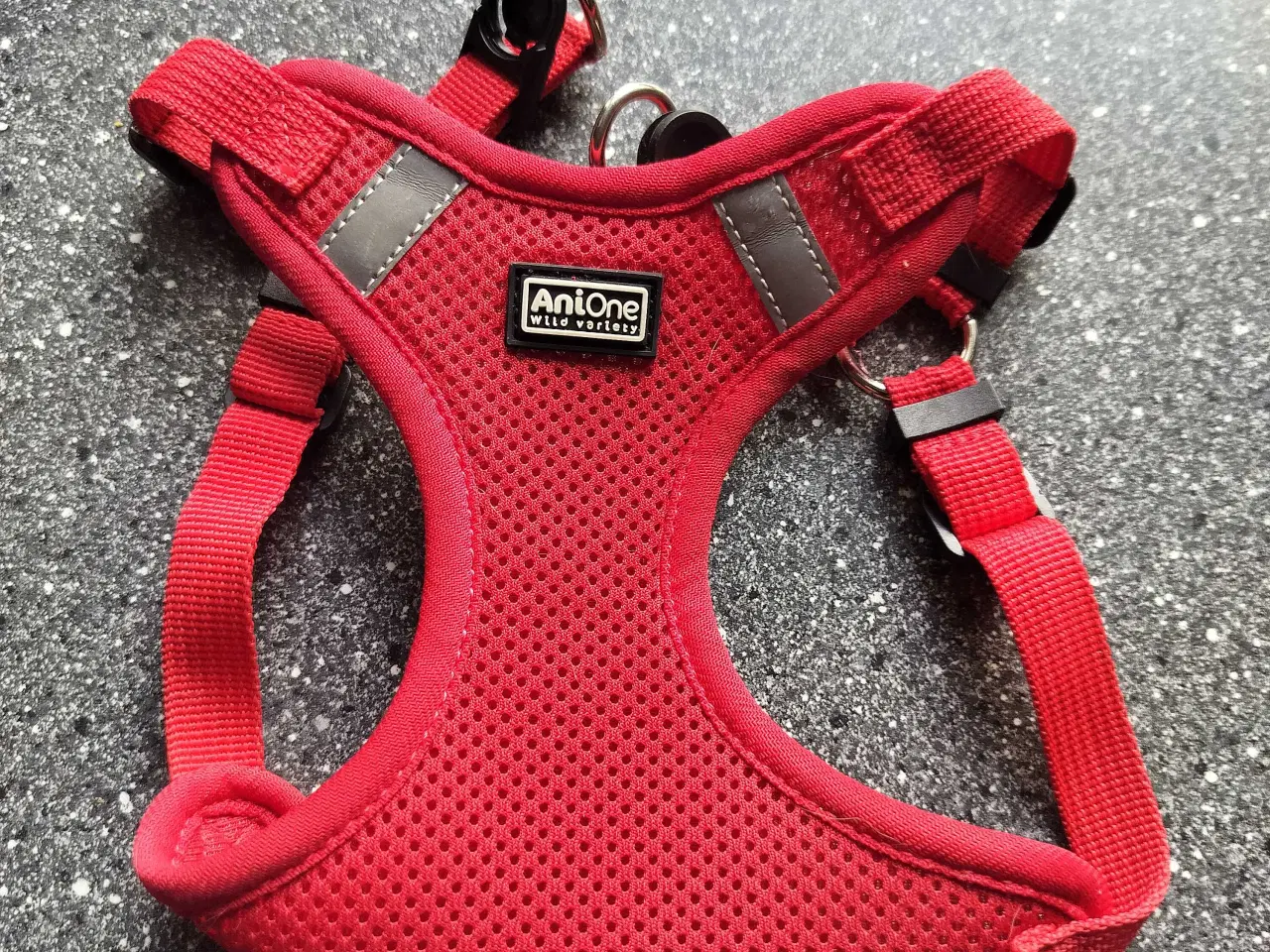 Billede 1 - Rød AniOne sele