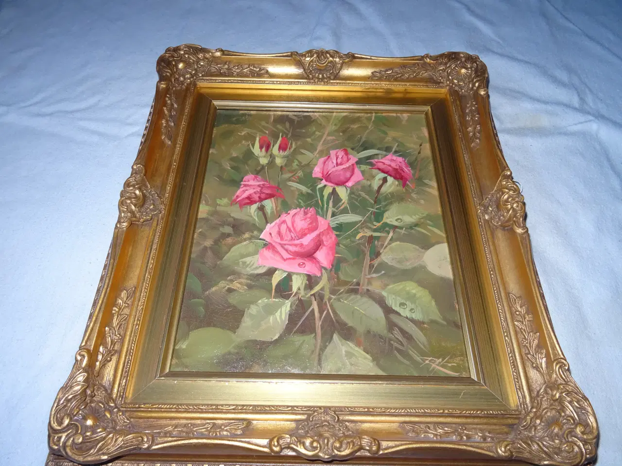 Billede 1 - Roald Hansen rosenbilled