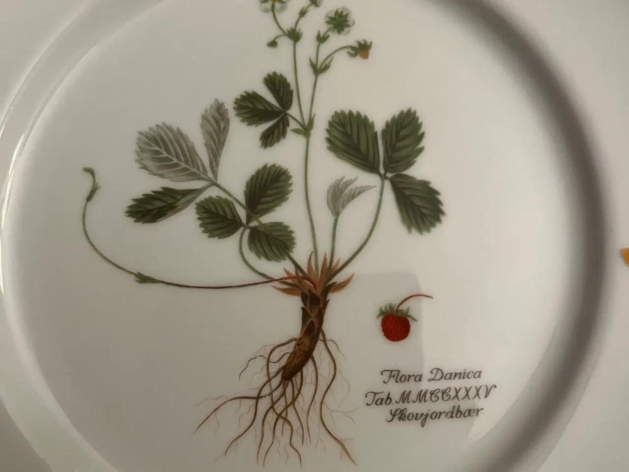 Billede 1 - Flora Danica tallerkener 