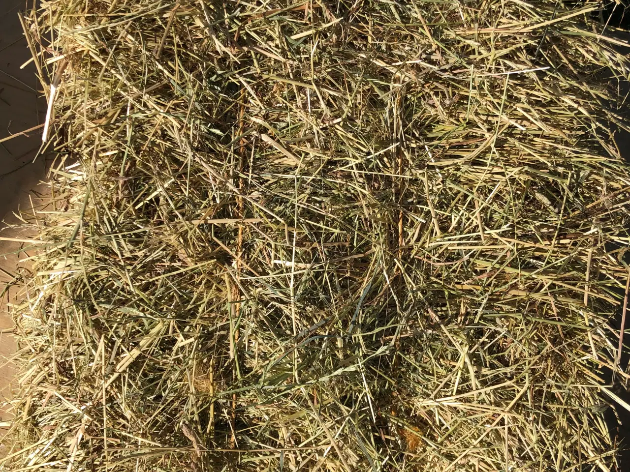 Billede 2 - Små Morten Korch høballer, dejligt støvfrit hø