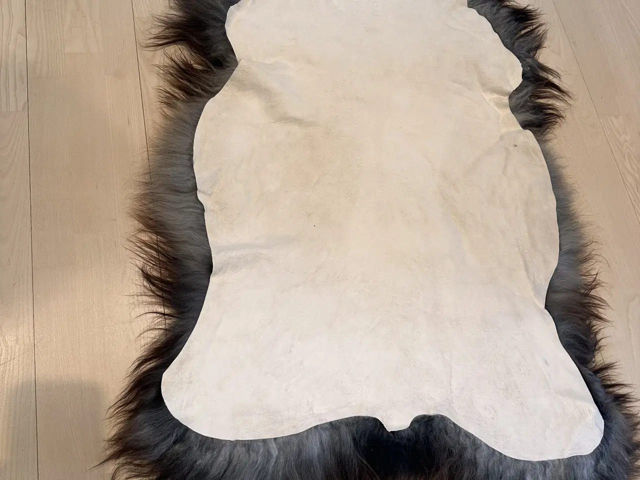 Billede 5 - helt nyt langhåret lammeskind 