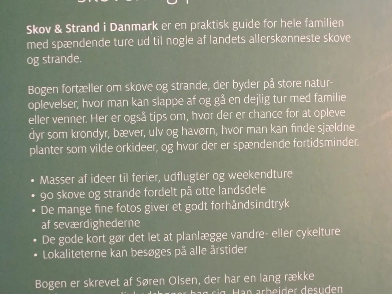 Billede 4 - skov og strand i danmark, af søren olsen