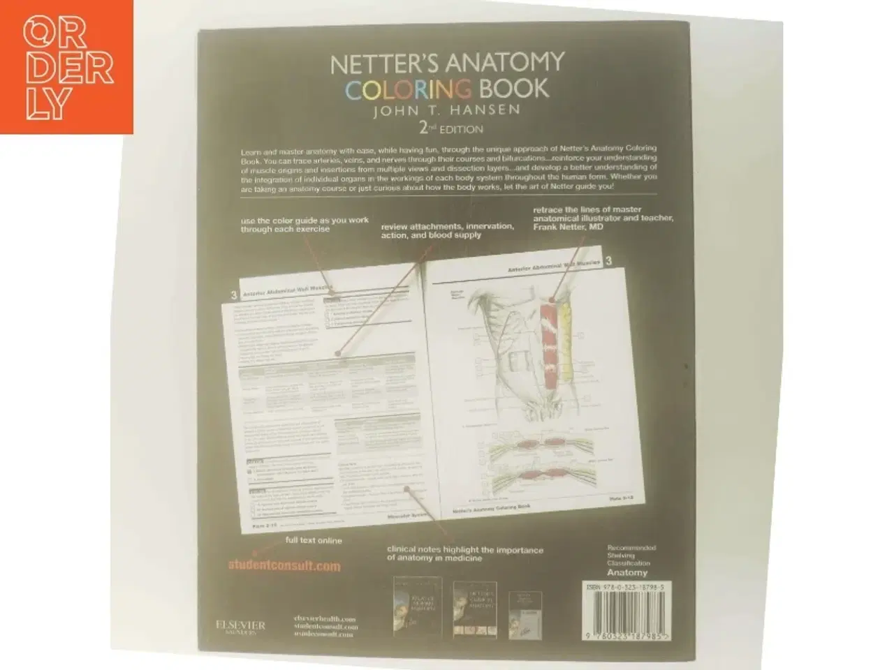 Billede 3 - Netter&#39;s Anatomy Coloring Book af John T. Hansen (Bog)