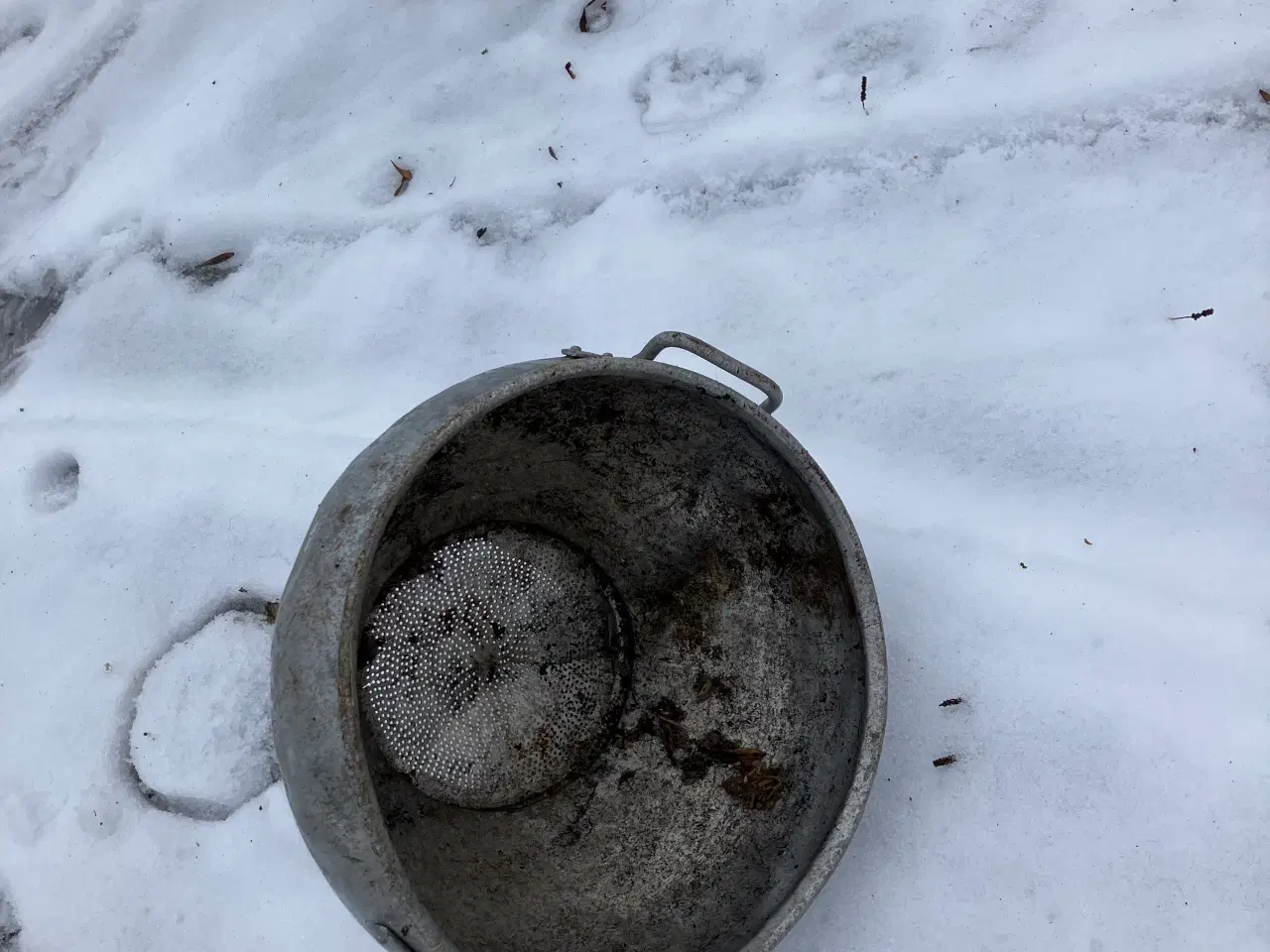 Billede 2 - Mælkesi