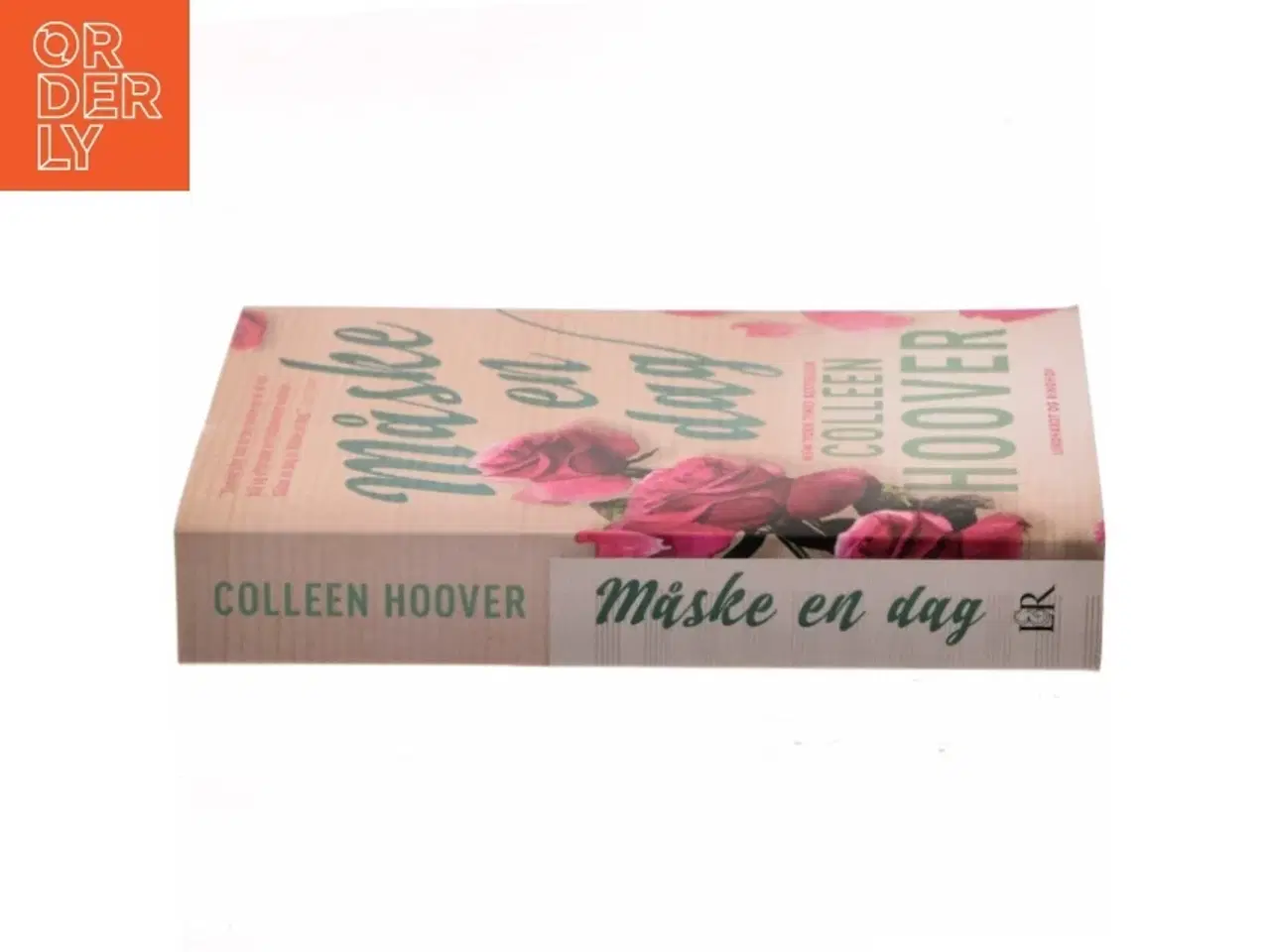 Billede 2 - Måske en dag af Colleen Hoover (Bog)