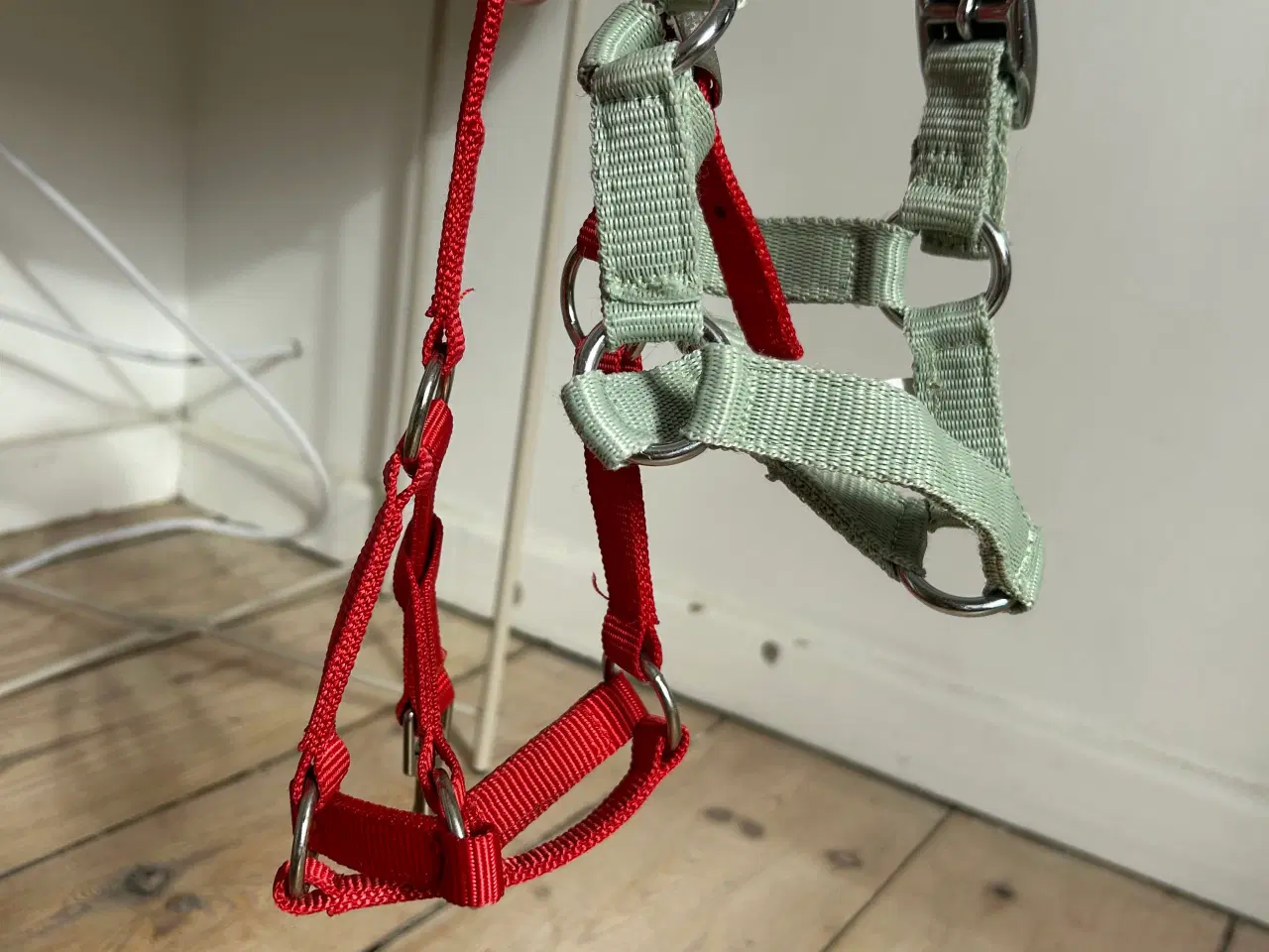 Billede 4 - 🖤🐎Kæphest+udstyr🐎🖤