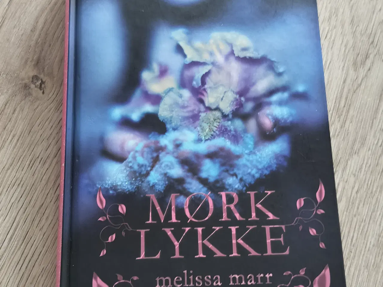 Billede 1 - Mørk lykke af Melissa Marr 