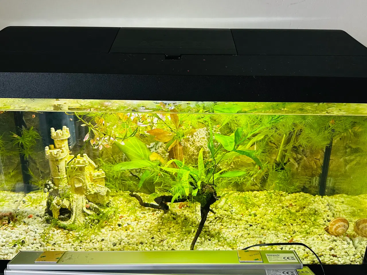 Billede 4 - 3 stk 54L akvarier, det ene fra Tetra. 