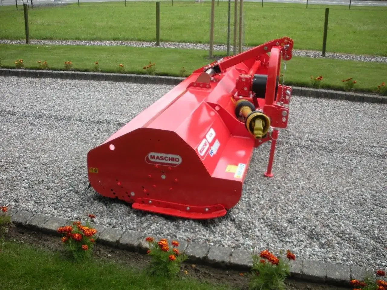 Billede 7 - Maschio 300 tigre