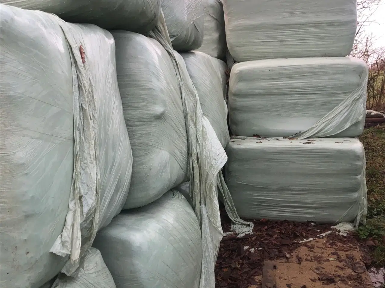 Billede 2 - Wrap af HorseMax 60