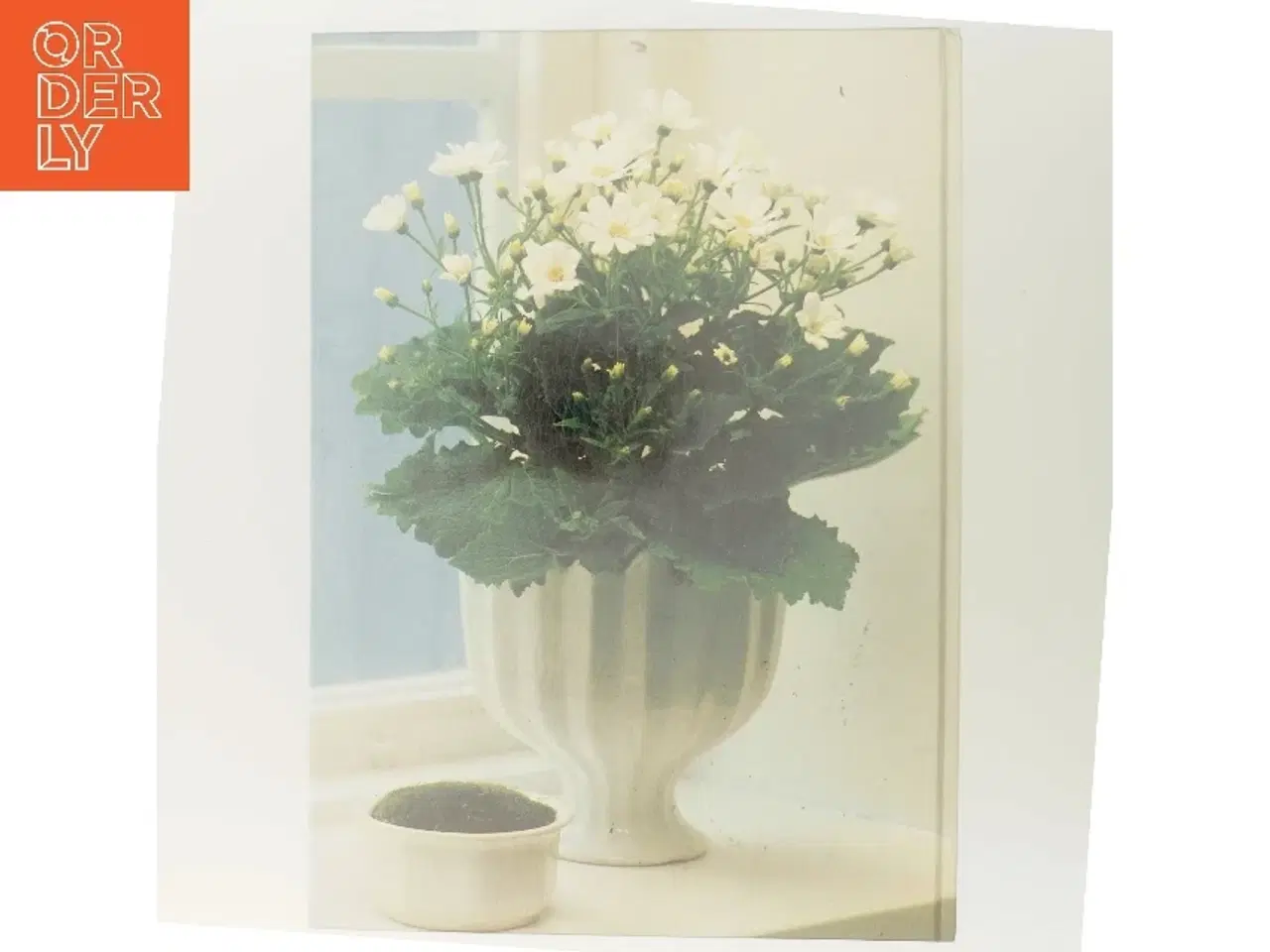 Billede 3 - Hvide blomster af <Bog ikke specificeret< (Bog)