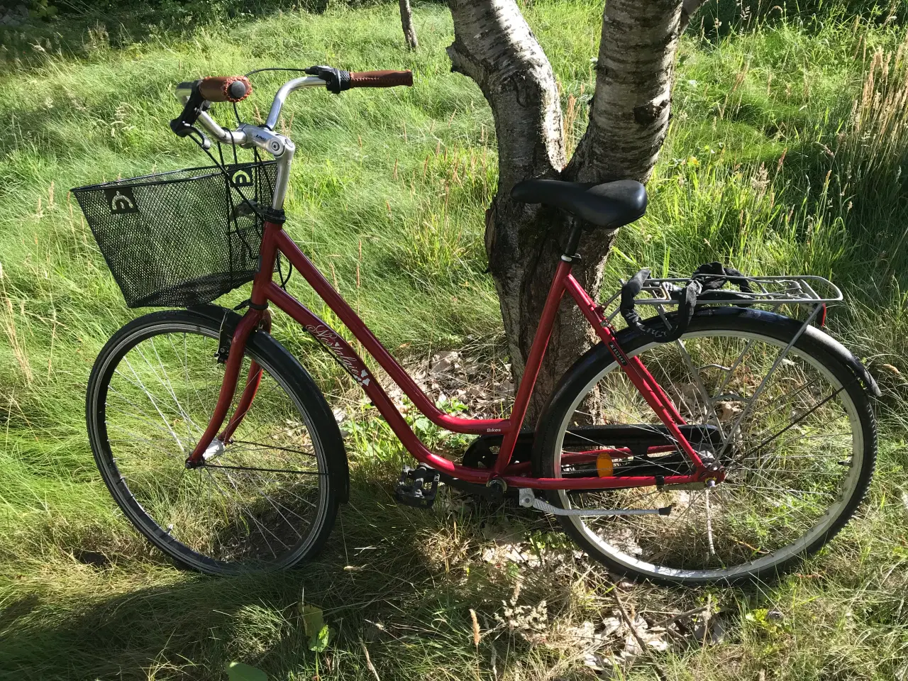 Billede 2 - Damecykel med Cykellås og Kurv før 165-180cm