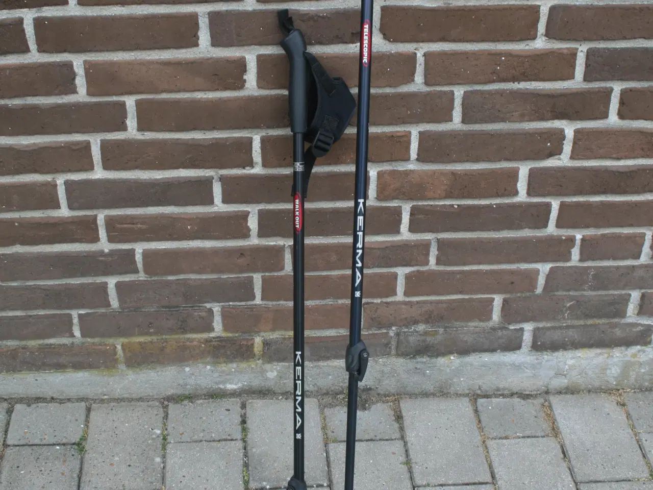 Billede 1 - Stave til stavgang
